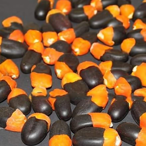 Akparata-noiafrican-spice