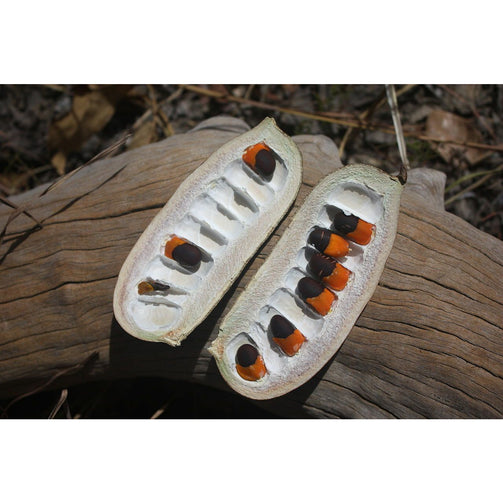 Akparata-noiafrican-spice