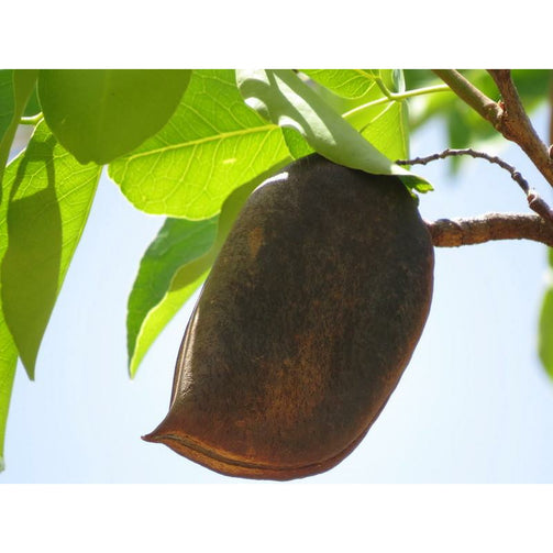 Akparata-noiafrican-spice