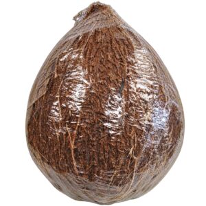 Coconut