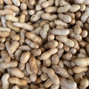 Raw Peanuts