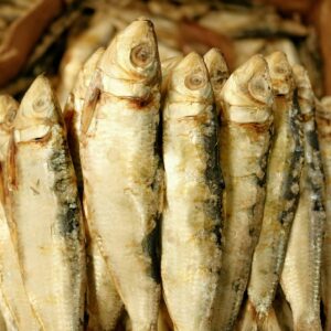stockfish